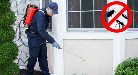 Sulusaray Bit İlaçlama böcek ilaçlama ve haşere kontrolü — ilaclama-tr.com
